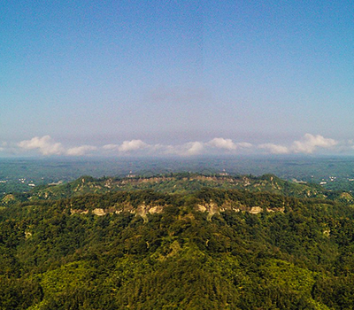 Tea Gardens, Nature and Tranquility SreeMangal